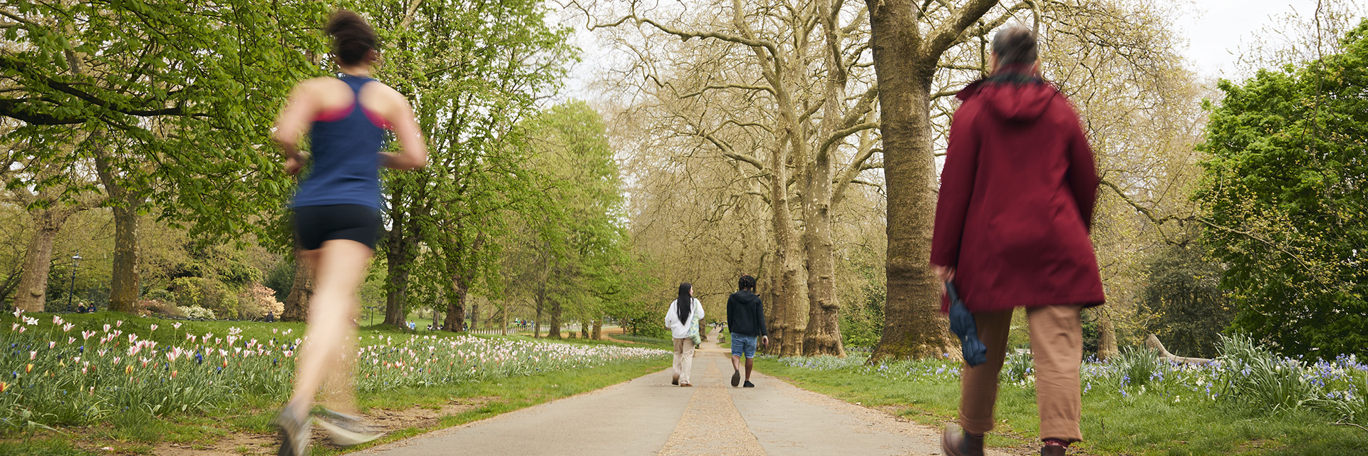 View of path in Hyde Park surrounded by trees and flowers. Runners and passers by can be seen making their way through the park.