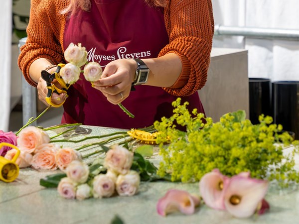 A florist in a maroon apron and an orange sweater trims soft pink roses with precision using floral shears, as various fresh flowers and tools are spread across the workspace.