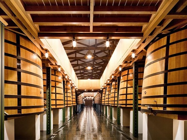 An elegant wine cellar featuring rows of large wooden fermentation vats with black metal bands, illuminated by warm pendant lights under exposed wooden beams.