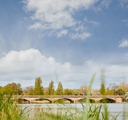 View of bridge over The Serpentine, with trees in the background